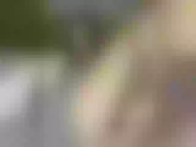 Live sex webcam photo for Pekkaboo #275928255