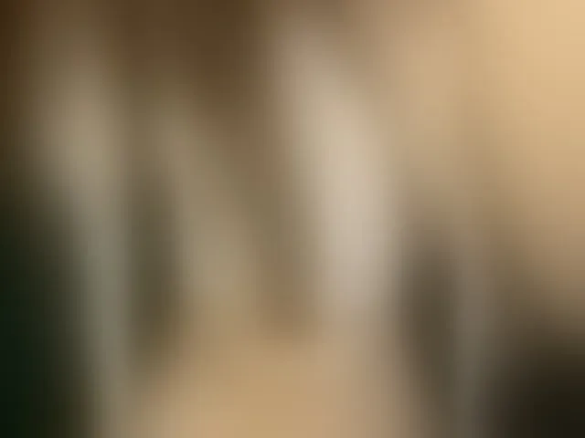 Live sex webcam photo for Pekkaboo #276283646