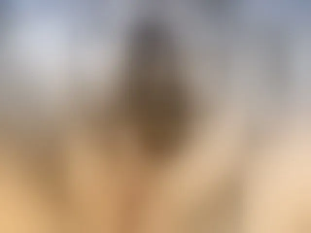 Live sex webcam photo for Pekkaboo #276397263