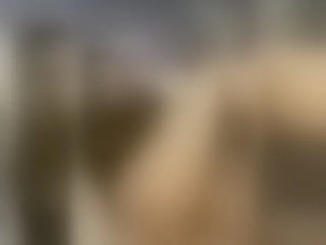 Live sex webcam photo for Pekkaboo #277184158