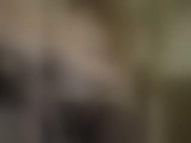 Live sex webcam photo for Pekkaboo #293671527