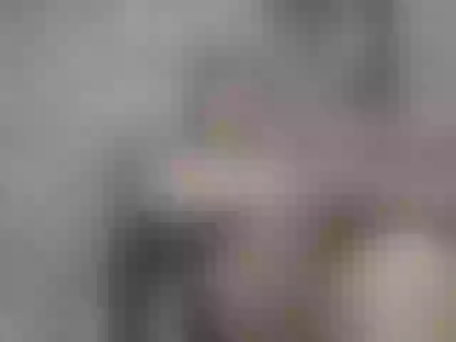 Live sex webcam photo for PenelopeDawsson #291146492