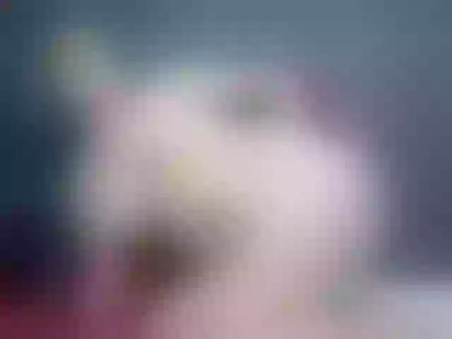 Live sex webcam photo for PenelopeDawsson #291556724