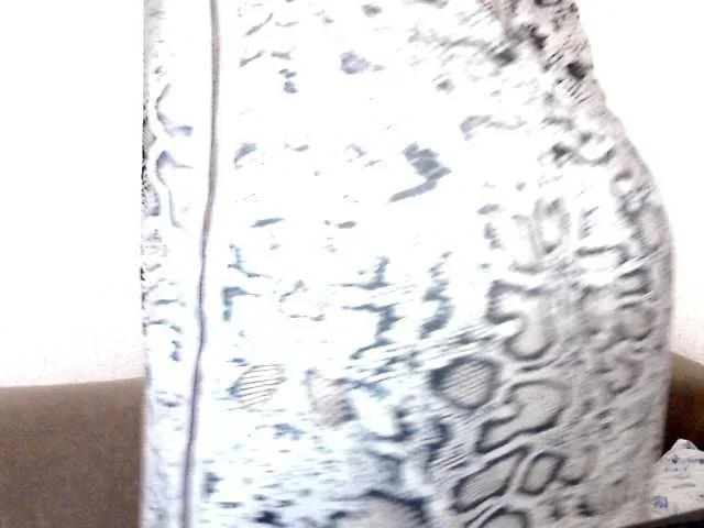 Live sex webcam photo for Perfectpam #272631304