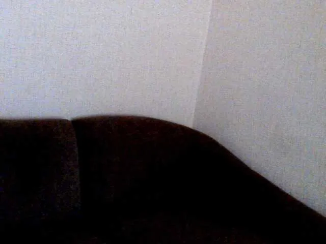 Live sex webcam photo for Perfectpam #274125857