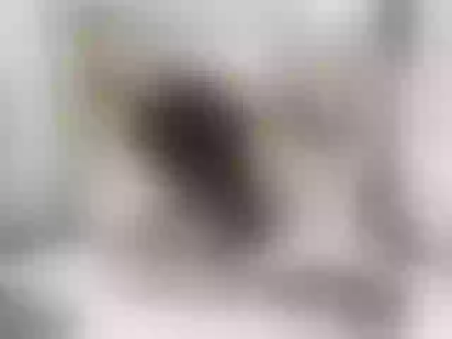 Live sex webcam photo for Perla-thompson #276805483