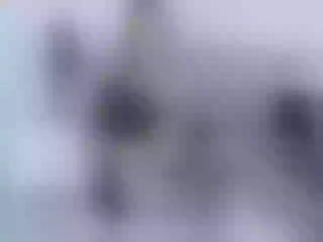 Live sex webcam photo for Perla-thompson #277349594
