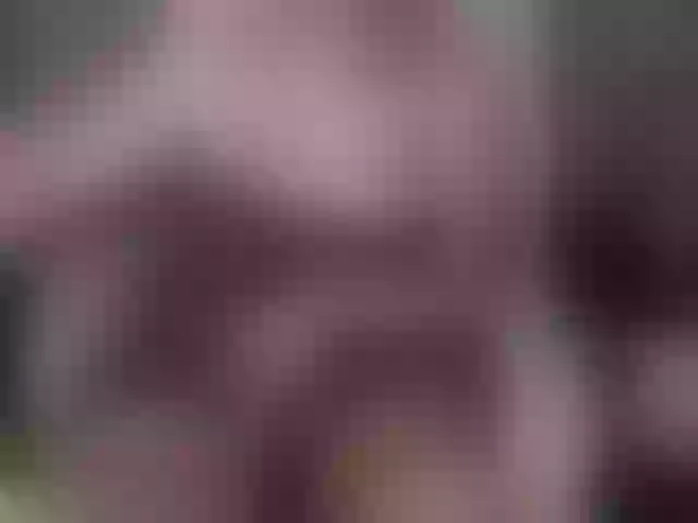 Live sex webcam photo for Persiks #290960831