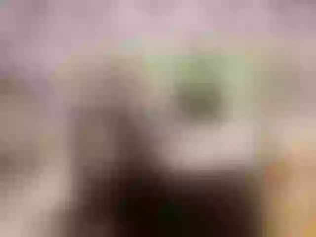 Live sex webcam photo for PetiteAlyssa #291938753