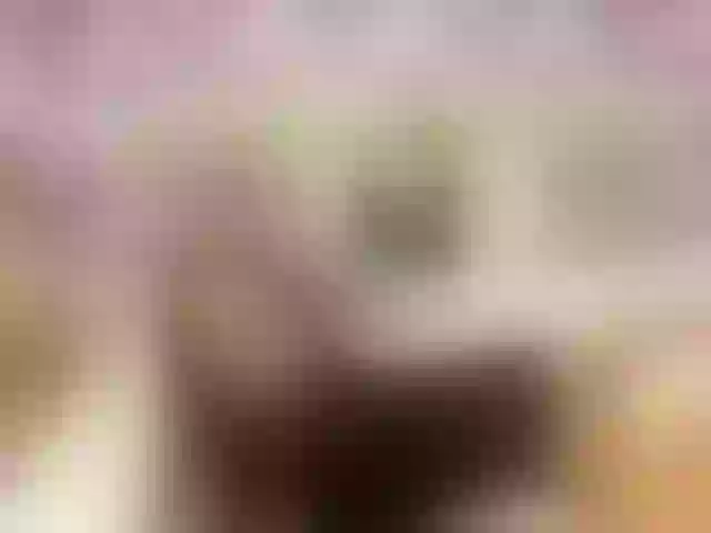 Live sex webcam photo for PetiteAlyssa #292189552