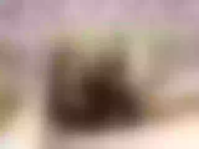 Live sex webcam photo for PetiteAlyssa #292235276