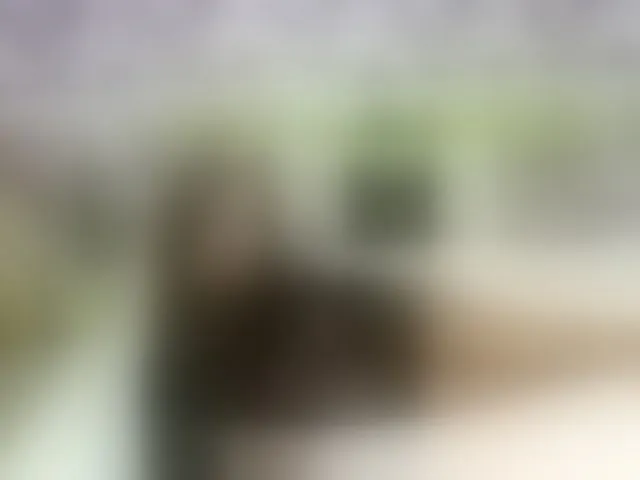 Live sex webcam photo for PetiteAlyssa #292406778