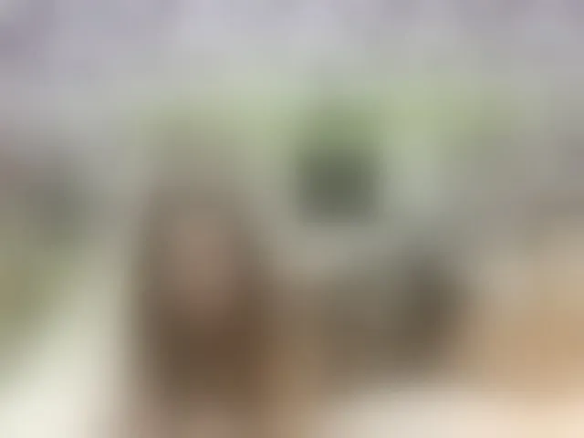Live sex webcam photo for PetiteAlyssa #292598691