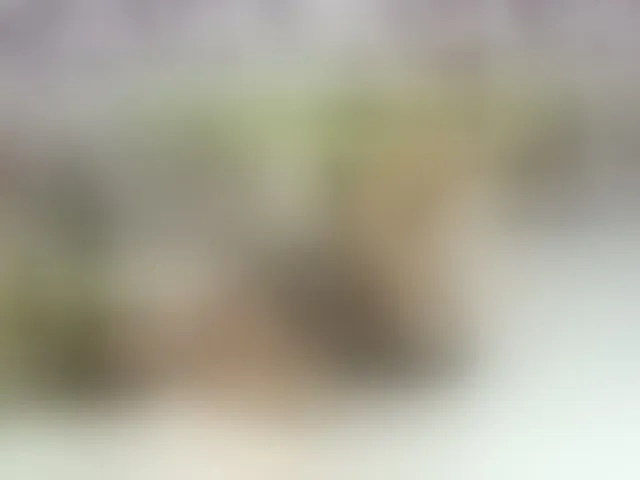 Live sex webcam photo for PetiteAlyssa #293160357