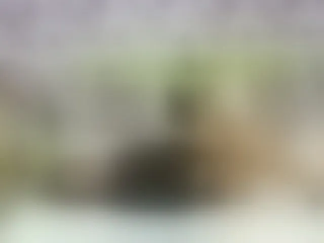 Live sex webcam photo for PetiteAlyssa #293695398