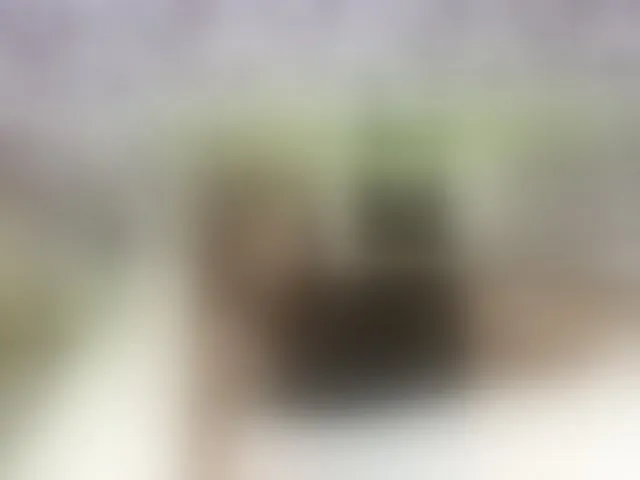 Live sex webcam photo for PetiteAlyssa #294062894