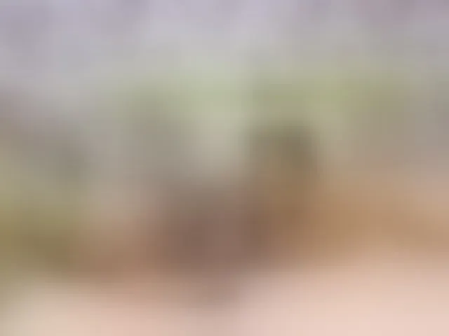 Live sex webcam photo for PetiteAlyssa #294266193
