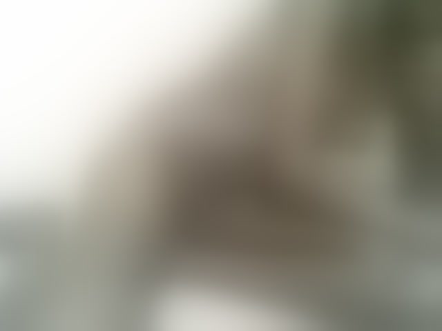 Live sex webcam photo for Petitebunni #293424225