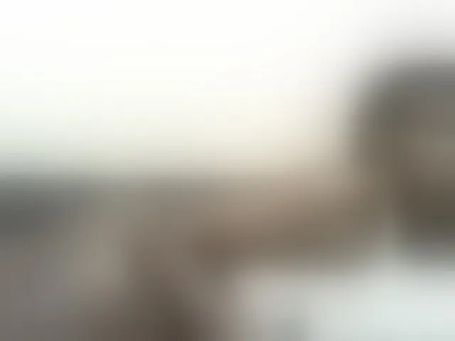 Live sex webcam photo for Petitebunni #293515291