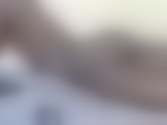 Live sex webcam photo for Petitebunni #294049632