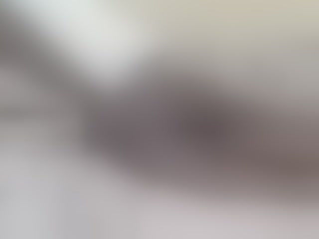 Live sex webcam photo for Petitebunni #294072991