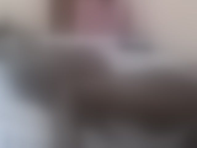 Live sex webcam photo for Petitecutie #294104890