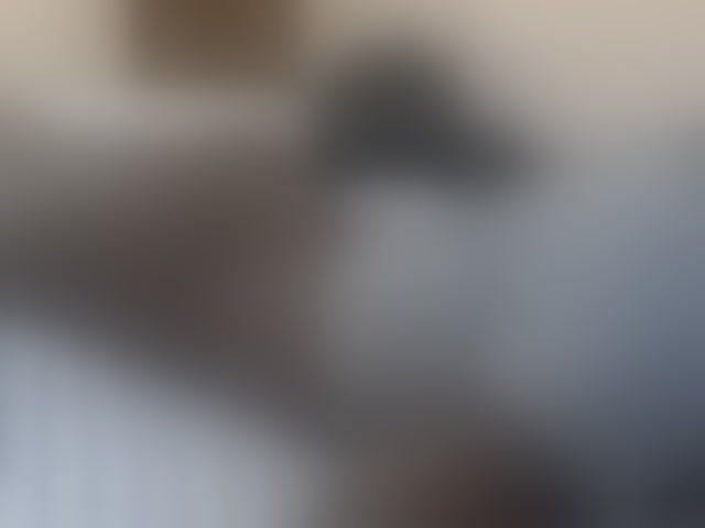 Live sex webcam photo for Petitecutie