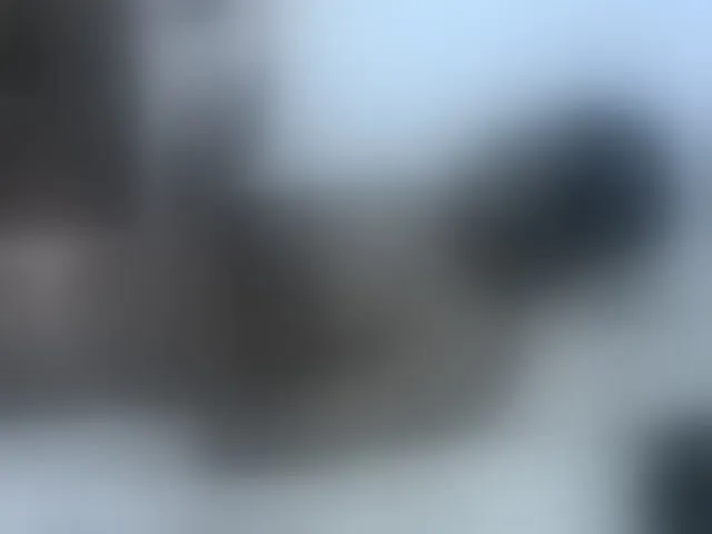 Live sex webcam photo for Petitegirly #290433034
