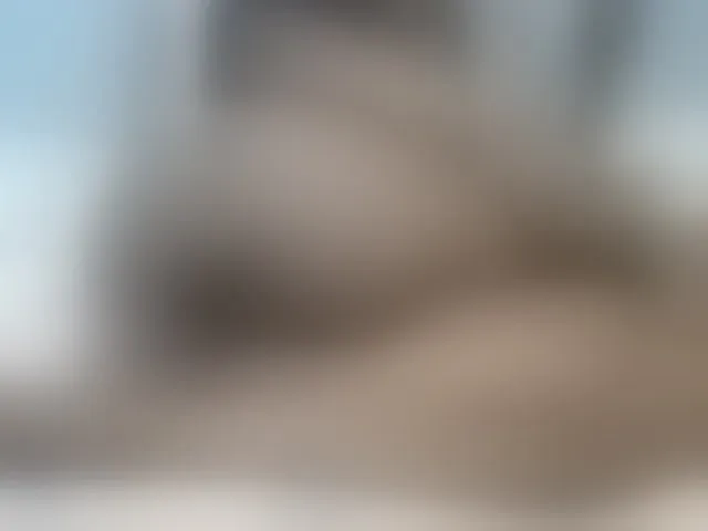 Live sex webcam photo for Petitetessy3 #293807404