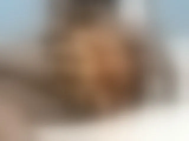 Live sex webcam photo for Petitetessy3 #293824847