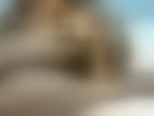 Live sex webcam photo for Petitetessy3 #293922586