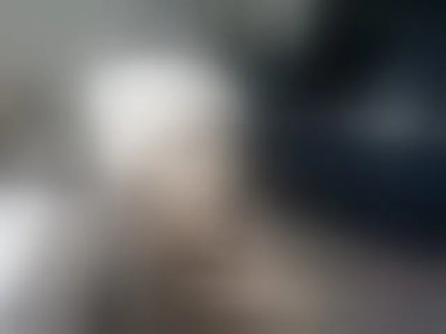 Live sex webcam photo for Petitlexxi #293416701