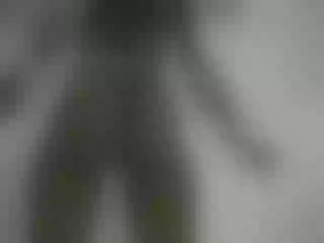Live sex webcam photo for Pettite-Diofa #291479967