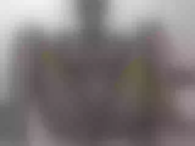 Live sex webcam photo for Pettite-Diofa #292289348