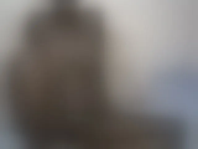 Live sex webcam photo for Pettite-Diofa #292325136