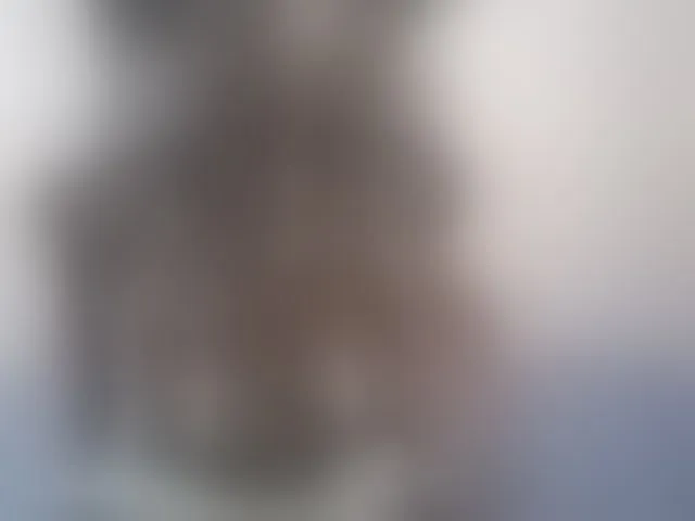 Live sex webcam photo for Pettite-Diofa #292520927