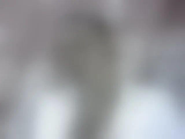 Live sex webcam photo for Pinay-Sexy #293720329