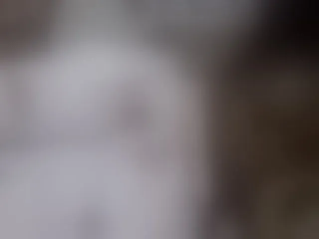 Live sex webcam photo for Pinay-Sexy #293737704