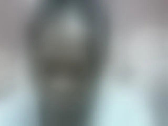 Live sex webcam photo for Pinay-Sexy #293808895
