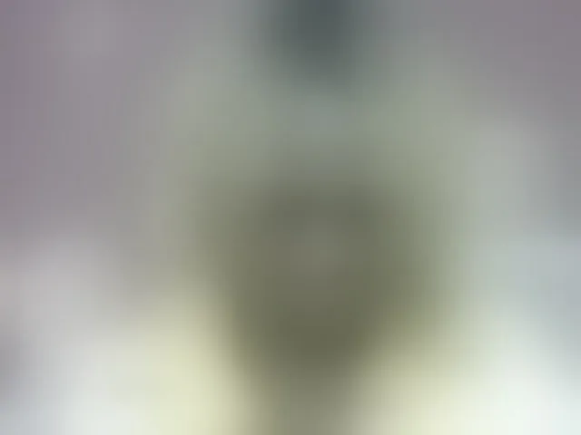 Live sex webcam photo for Pinay-Sexy #293908143
