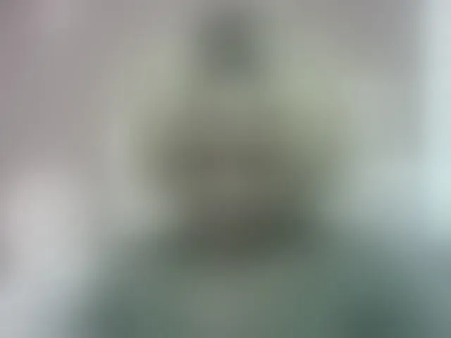 Live sex webcam photo for Pinay-Sexy #293914448