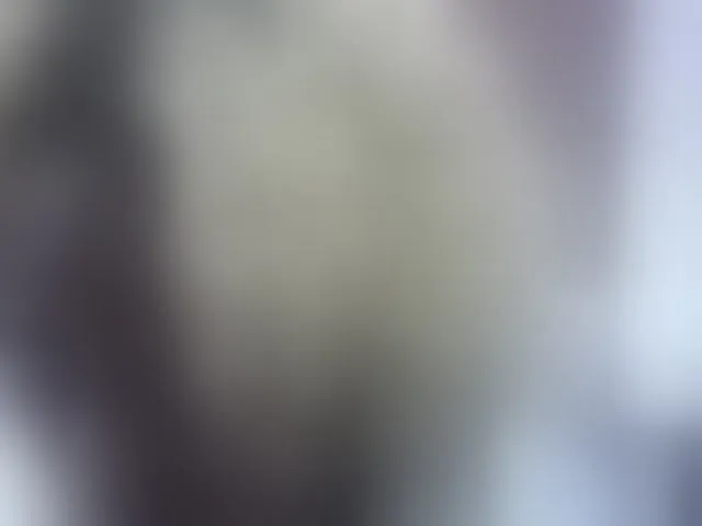 Live sex webcam photo for Pinay-Sexy #293920915