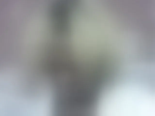 Live sex webcam photo for Pinay-Sexy #293926025