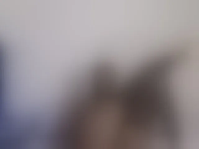 Live sex webcam photo for PinkKittyy #293195090
