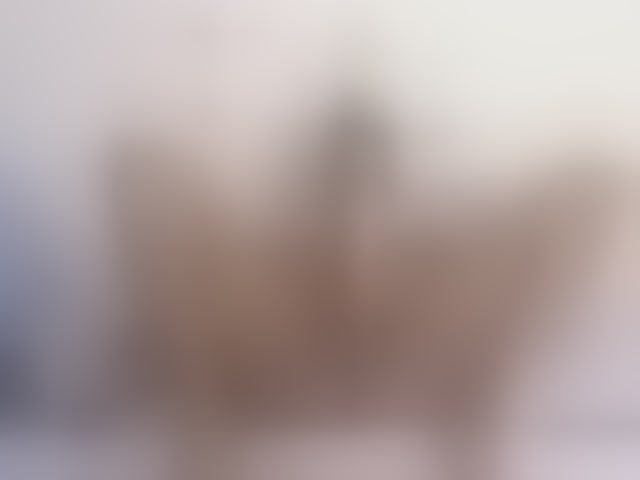 Live sex webcam photo for PinkKittyy #293344958