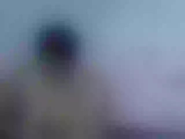 Live sex webcam photo for Pinkpussy-21 #290598067