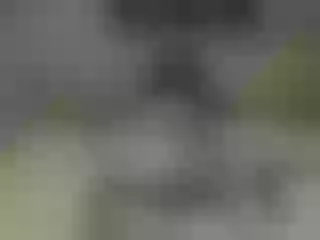 Live sex webcam photo for PinkySmithxXx #227155498