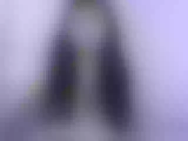 Live sex webcam photo for Pizda-Drozda #291709614