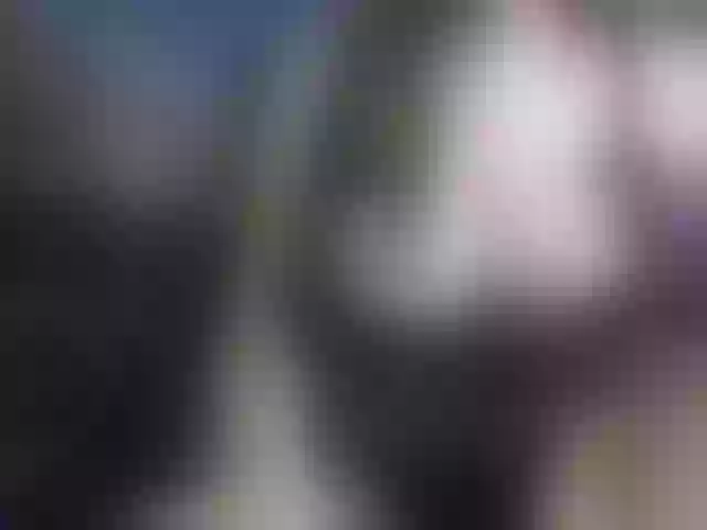 Live sex webcam photo for Pizdana #271754791