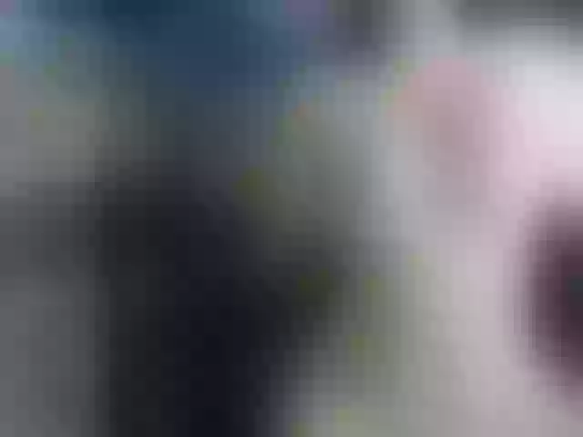 Live sex webcam photo for Pizdana #271777024